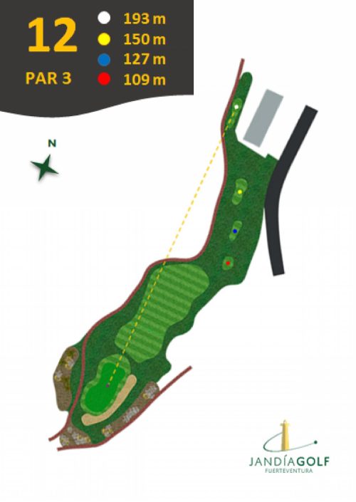 Hoyo-12